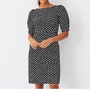 ANN TAYLOR BRAN.. Polka Dot Black and White Dress